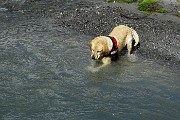 87 Recupera in acqua quanto si getta